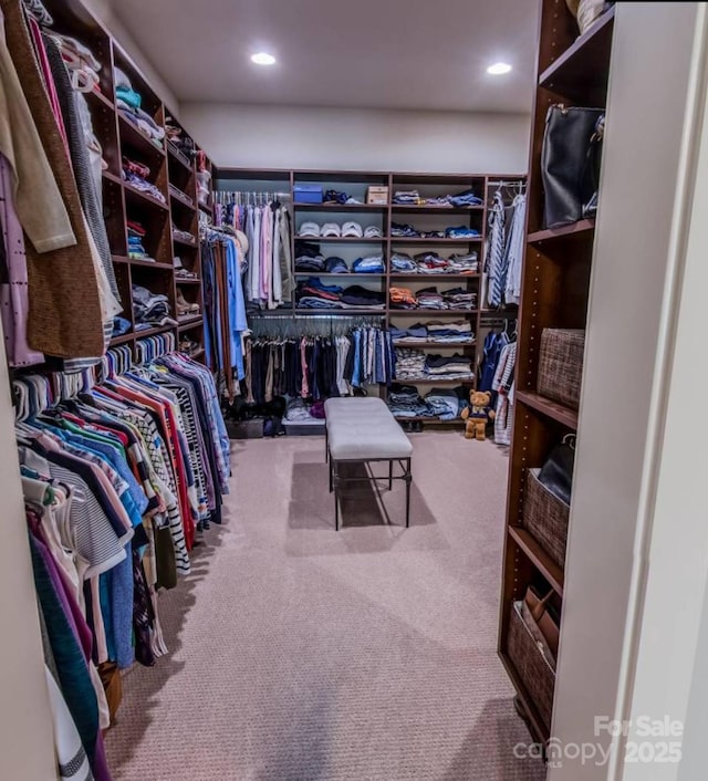 walk in closet with carpet floors
