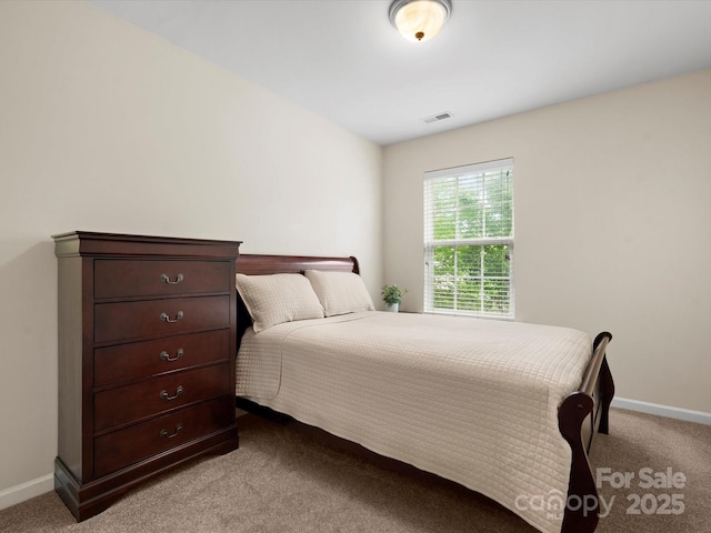 2137 Midnight Blue Ln, Fort Mill, SC 29708 - photo 24