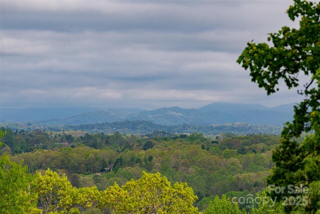 view of mountain feature featuring a view of trees