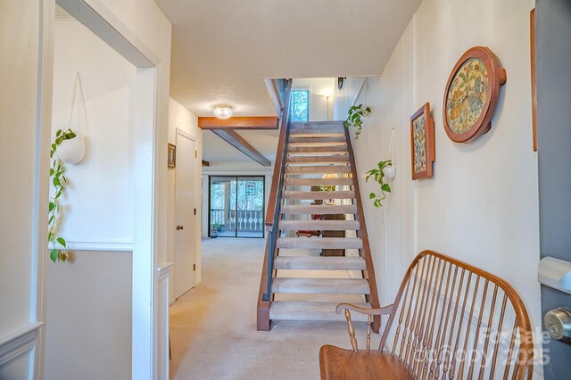 staircase featuring carpet flooring