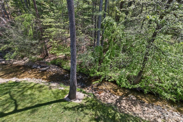 view of nature with a forest view