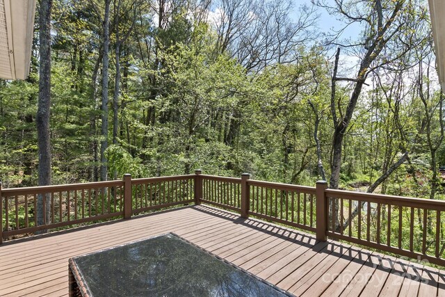 689 New Haw Creek Rd, Asheville, NC 28805 - photo 5