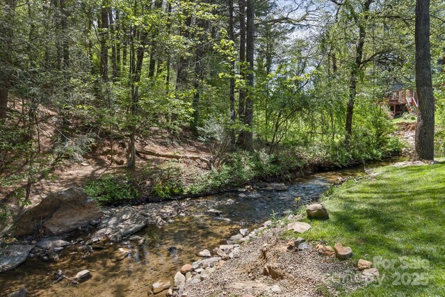 689 New Haw Creek Rd, Asheville, NC 28805 - photo 10