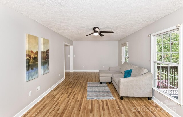 689 New Haw Creek Rd, Asheville, NC 28805 - photo 23