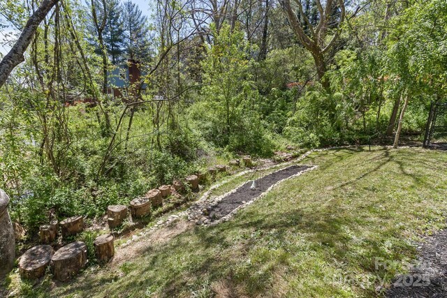 689 New Haw Creek Rd, Asheville, NC 28805 - photo 37
