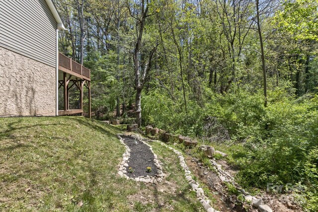 689 New Haw Creek Rd, Asheville, NC 28805 - photo 38
