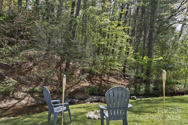 689 New Haw Creek Rd, Asheville, NC 28805 - photo 39
