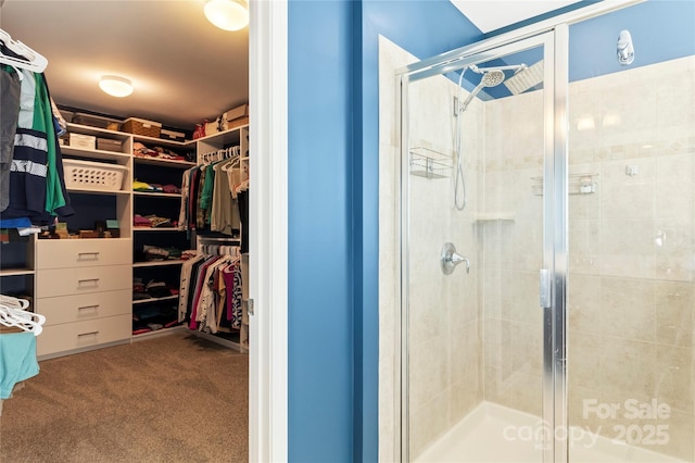 bathroom with a walk in closet and a stall shower