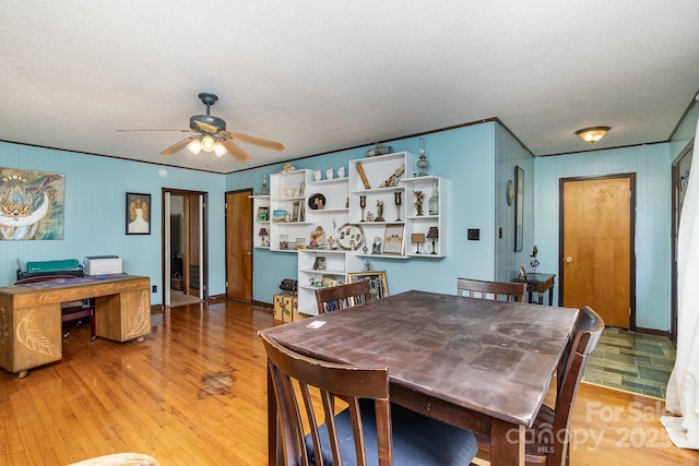 dining room featuring a textured ceiling, light wood finished floors, and ceiling fan
