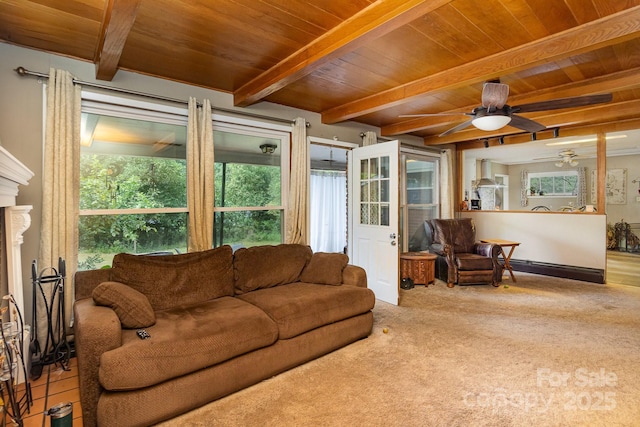 carpeted living room with beamed ceiling, a baseboard radiator, a ceiling fan, and wooden ceiling