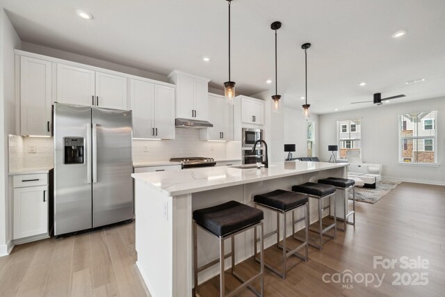 kitchen featuring tasteful backsplash, stainless steel appliances, light wood-style flooring, and under cabinet range hood