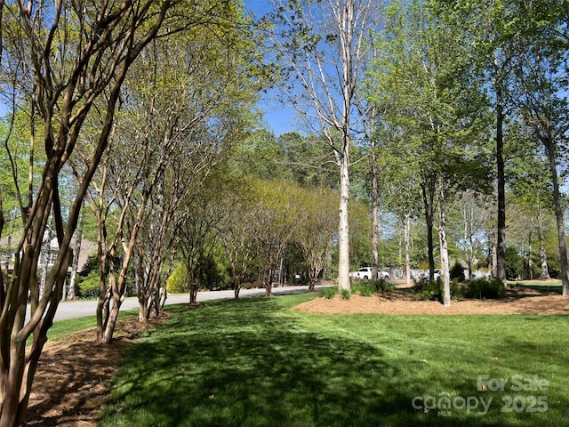 484 Chisholm Trl, Rutherfordton, NC 28139 - surrounding community featuring a yard