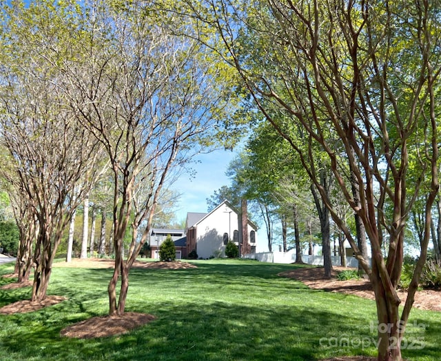 484 Chisholm Trl, Rutherfordton, NC 28139 - view of yard