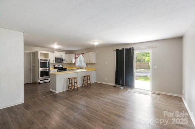 kitchen with dark wood-type flooring, plenty of natural light, a peninsula, and stainless steel appliances