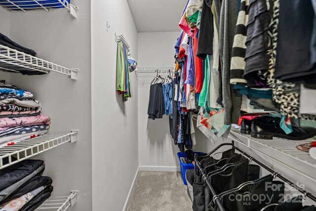 walk in closet featuring carpet floors