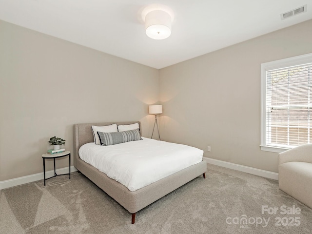 10201 Daufuskie Dr, Charlotte, NC 28278 - photo 22