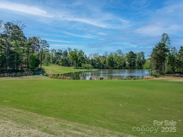 10201 Daufuskie Dr, Charlotte, NC 28278 - photo 37