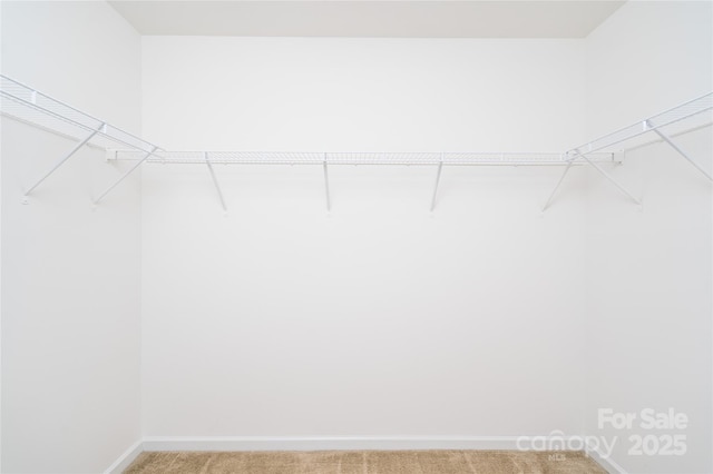 walk in closet with light colored carpet