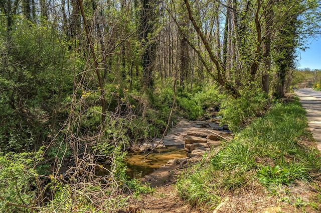 99999 State St, Asheville, NC 28806 - photo 11