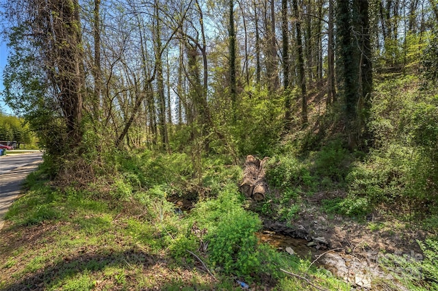 99999 State St, Asheville, NC 28806 - photo 12