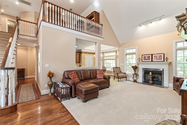 living area featuring high vaulted ceiling, track lighting, baseboards, and a wealth of natural light