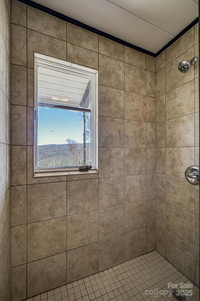 bathroom with a tile shower