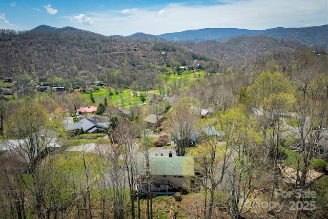 aerial view with a mountain view