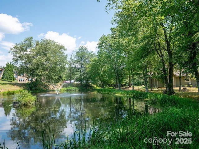 5802 Wood Duck Way, Hendersonville, NC 28792 - water view