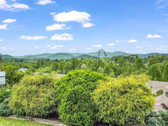 5802 Wood Duck Way, Hendersonville, NC 28792 - view of mountain background