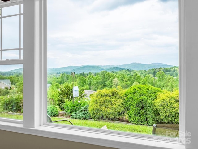 5802 Wood Duck Way, Hendersonville, NC 28792 - view of mountain backdrop