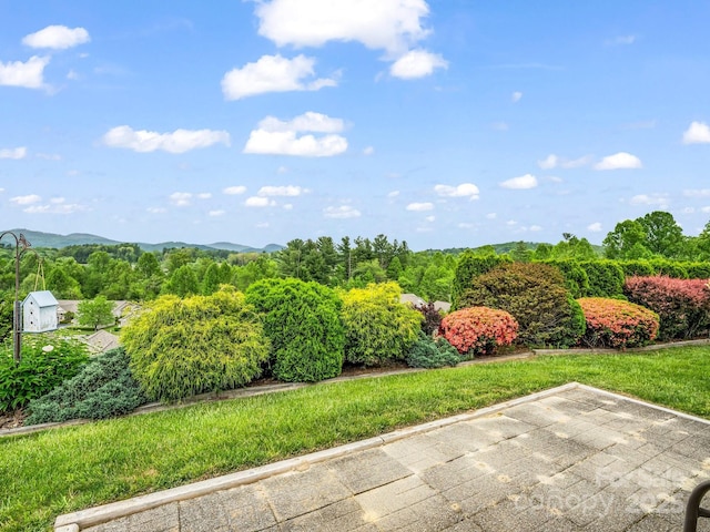 5802 Wood Duck Way, Hendersonville, NC 28792 - view of yard