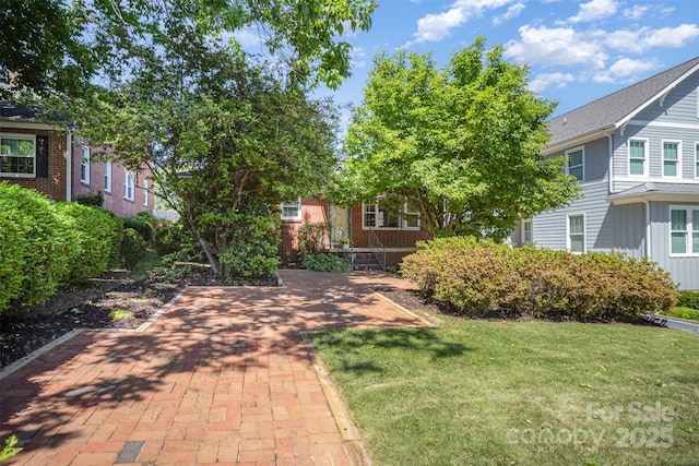 2125 Chatham Ave, Charlotte, NC 28205 - view of yard