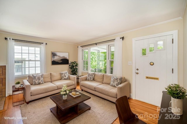2125 Chatham Ave, Charlotte, NC 28205 - living room featuring ornamental molding and wood finished floors