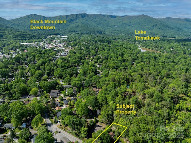 24 Iroquois St, Black Mountain, NC 28711 - view of property location featuring property boundaries highlighted, a heavily wooded area, and a mountainous background