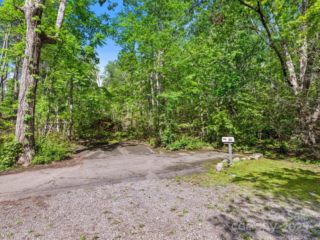 24 Iroquois St, Black Mountain, NC 28711 - view of road featuring a forest view
