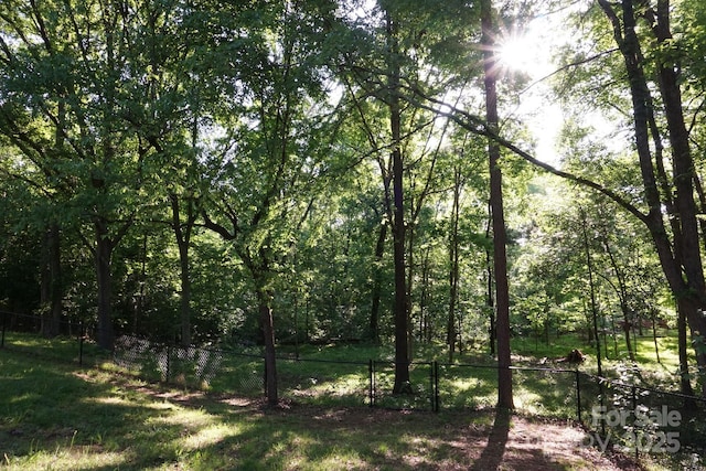 854 Silver Fox Dr, Concord, NC 28025 - view of woods