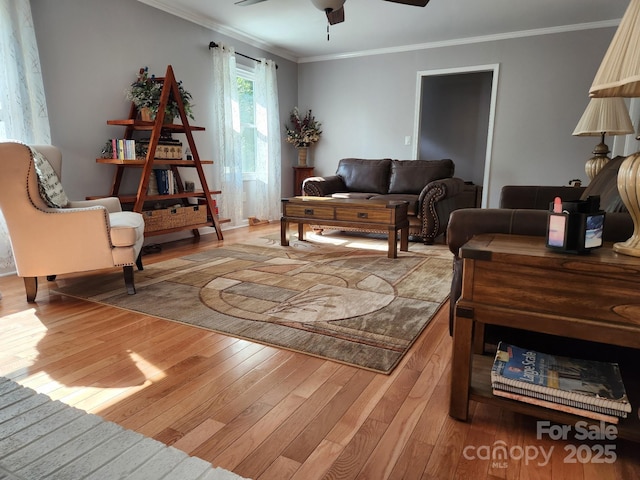 854 Silver Fox Dr, Concord, NC 28025 - photo 8