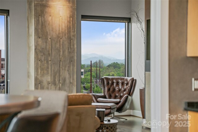 living area featuring baseboards, a mountain view, and wood finished floors