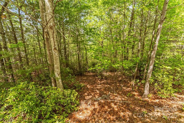 305 Captains Dr Unit 200, Nebo, NC 28761