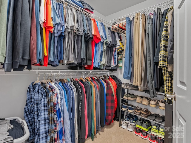 3 Holmes Ln, Arden, NC 28704 - walk in closet with carpet flooring