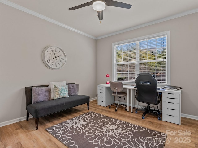 3 Holmes Ln, Arden, NC 28704 - office featuring wood finished floors, crown molding, a ceiling fan, and baseboards