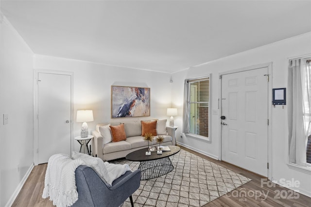 living room featuring baseboards and wood finished floors