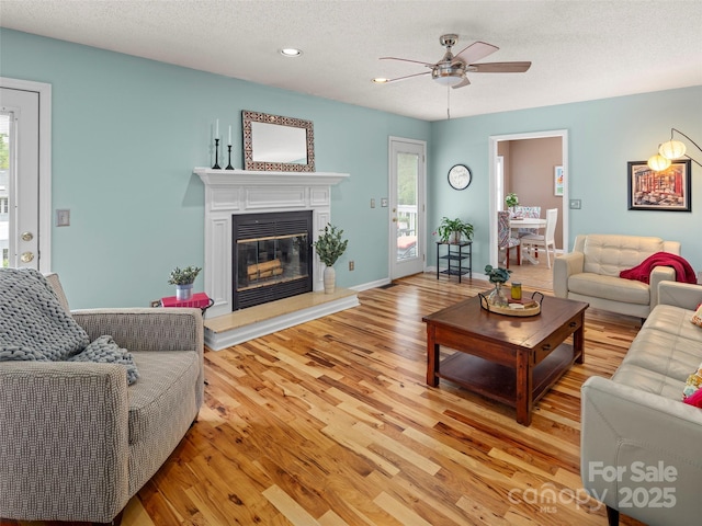 103 Higgins Rd, Fletcher, NC 28732 - living room with ceiling fan, a wealth of natural light, a glass covered fireplace, and light wood-style floors