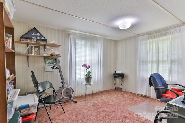 office space with a textured ceiling and carpet