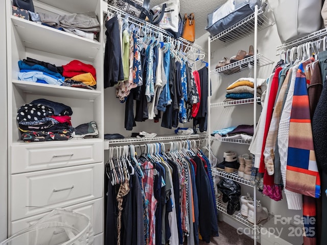 view of walk in closet