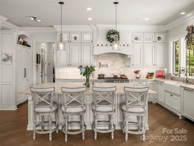41 Bear Flower Trl, Arden, NC 28704 - kitchen with a sink, a kitchen island with sink, tasteful backsplash, light stone counters, and ornamental molding