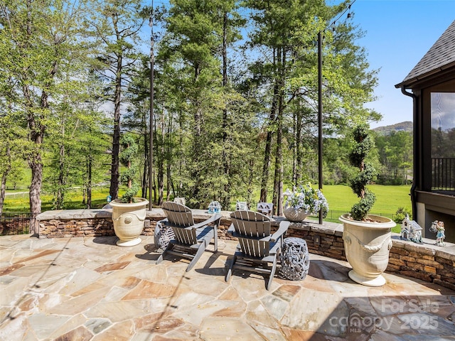 41 Bear Flower Trl, Arden, NC 28704 - view of patio / terrace
