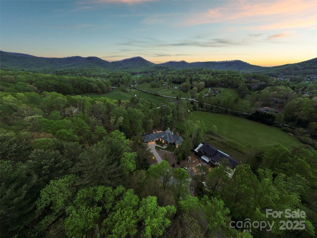 41 Bear Flower Trl, Arden, NC 28704 - aerial view at dusk of a mountain view