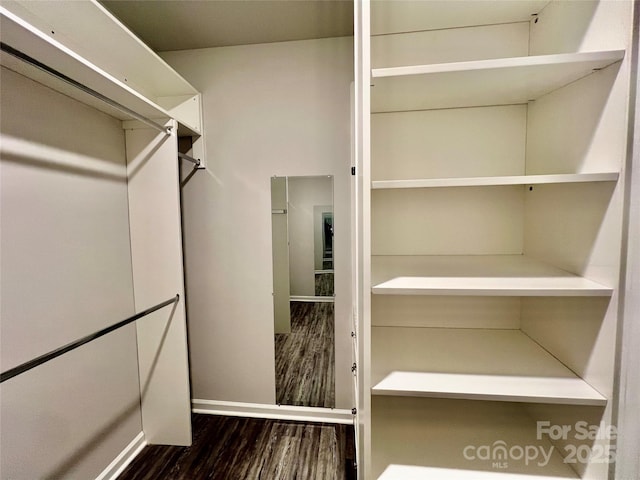 3619 Whitney Way, Terrell, NC 28682 - walk in closet with dark wood-type flooring