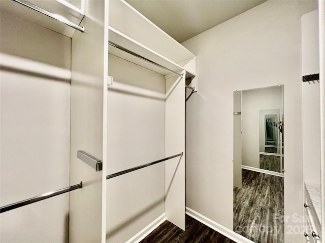 3619 Whitney Way, Terrell, NC 28682 - walk in closet with dark wood finished floors